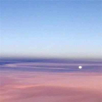 宠物大乱斗无限钻石版下载